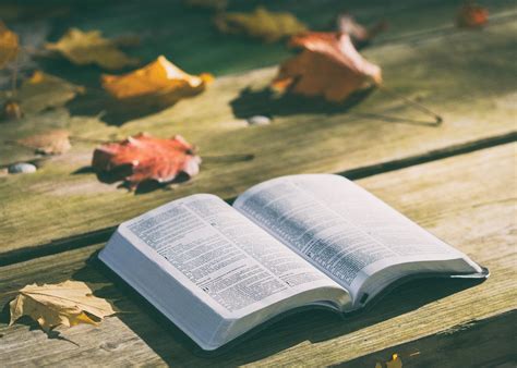 525+ Inspiring Bible Study Name Ideas for Better Fellowship.
